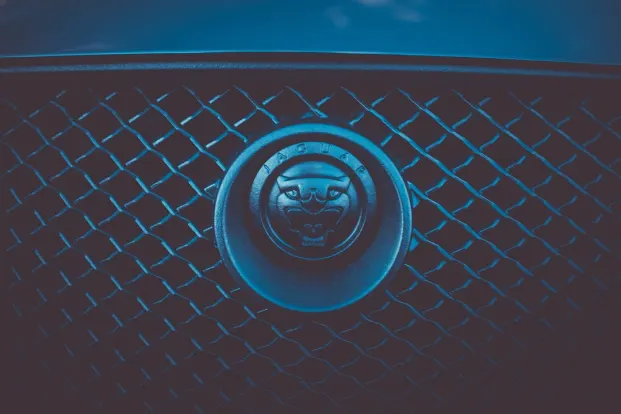 Cleopatra Casino Android/iOS Forrit